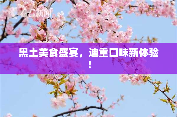黑土美食盛宴，迪重口味新体验！