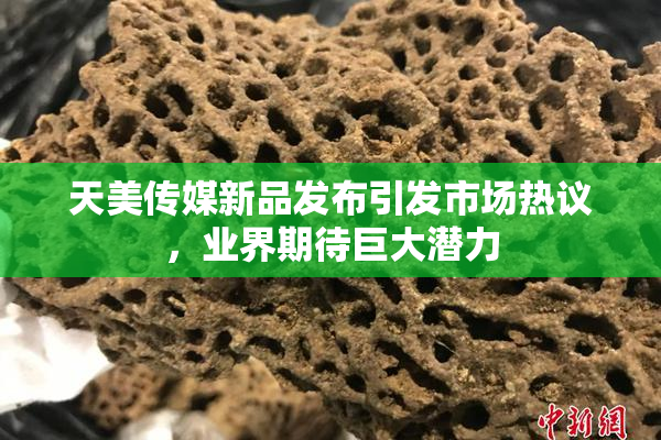 天美传媒新品发布引发市场热议，业界期待巨大潜力