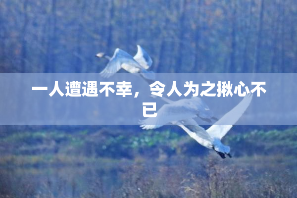 一人遭遇不幸，令人为之揪心不已