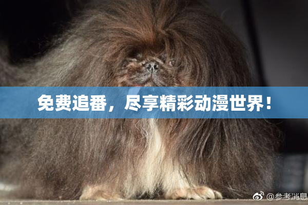 免费追番，尽享精彩动漫世界！
