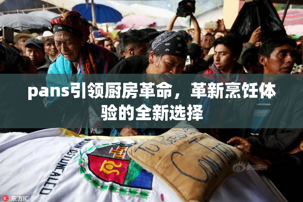 pans引领厨房革命，革新烹饪体验的全新选择