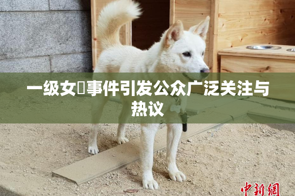 一级女婬事件引发公众广泛关注与热议