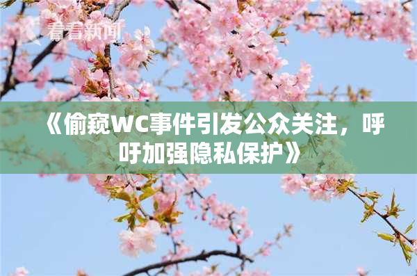 《偷窥WC事件引发公众关注，呼吁加强隐私保护》