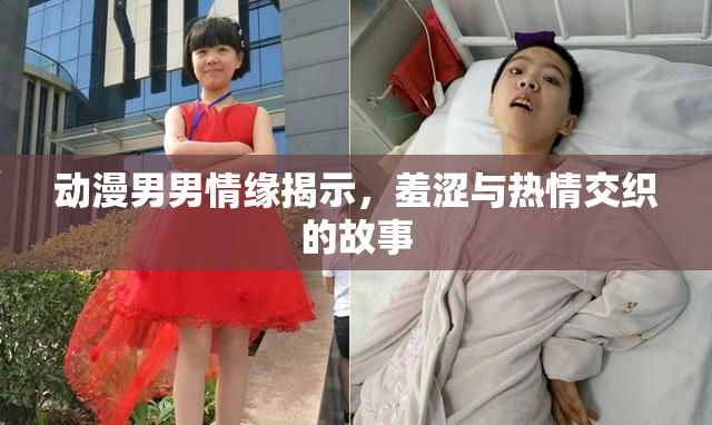 动漫男男情缘揭示，羞涩与热情交织的故事
