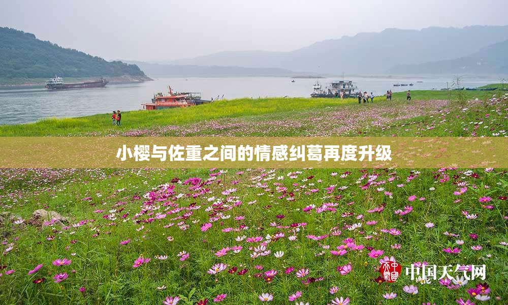 小樱与佐重之间的情感纠葛再度升级