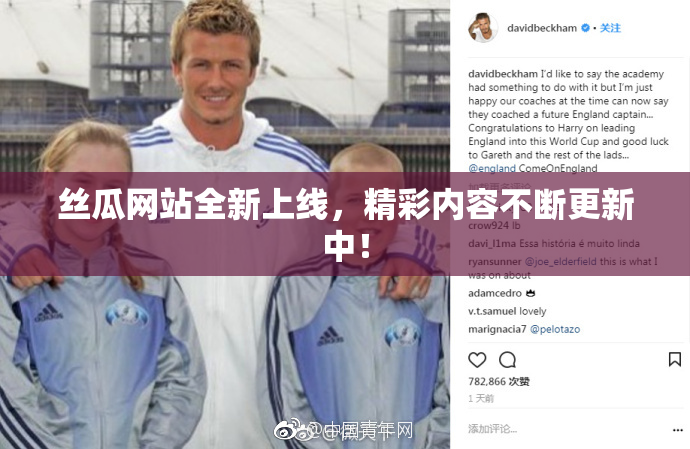 丝瓜网站全新上线，精彩内容不断更新中！