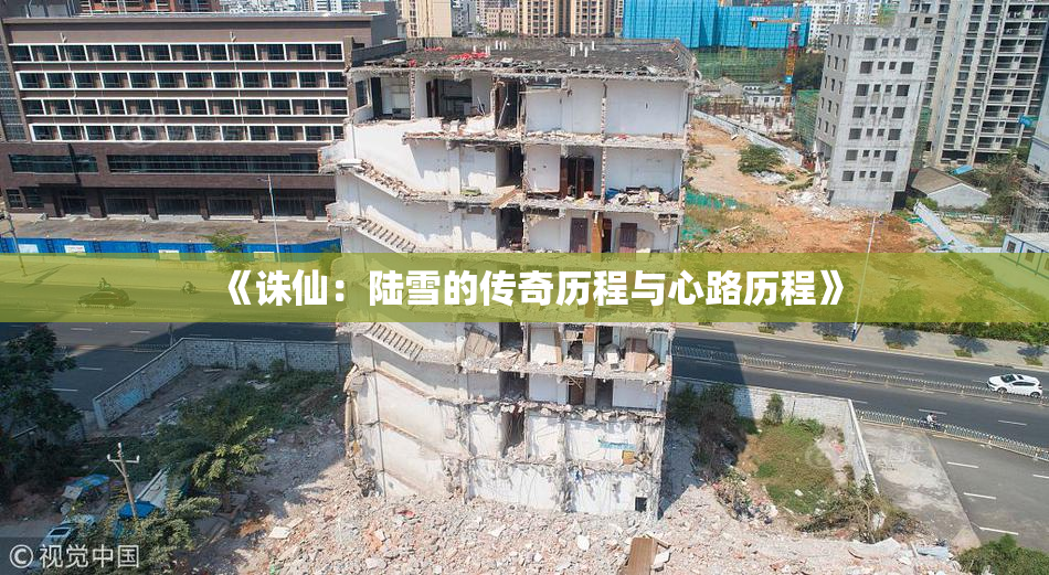 《诛仙：陆雪的传奇历程与心路历程》
