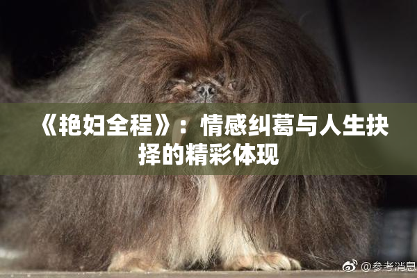 《艳妇全程》：情感纠葛与人生抉择的精彩体现
