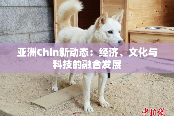 亚洲Chin新动态：经济、文化与科技的融合发展