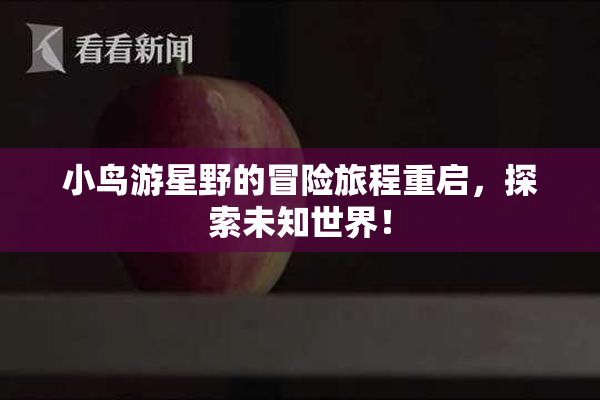 小鸟游星野的冒险旅程重启，探索未知世界！