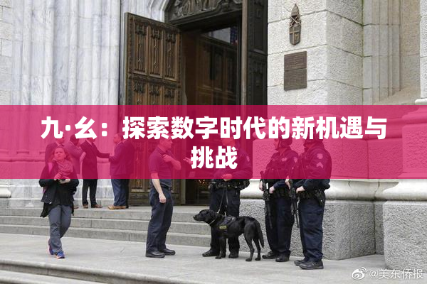 九·幺：探索数字时代的新机遇与挑战