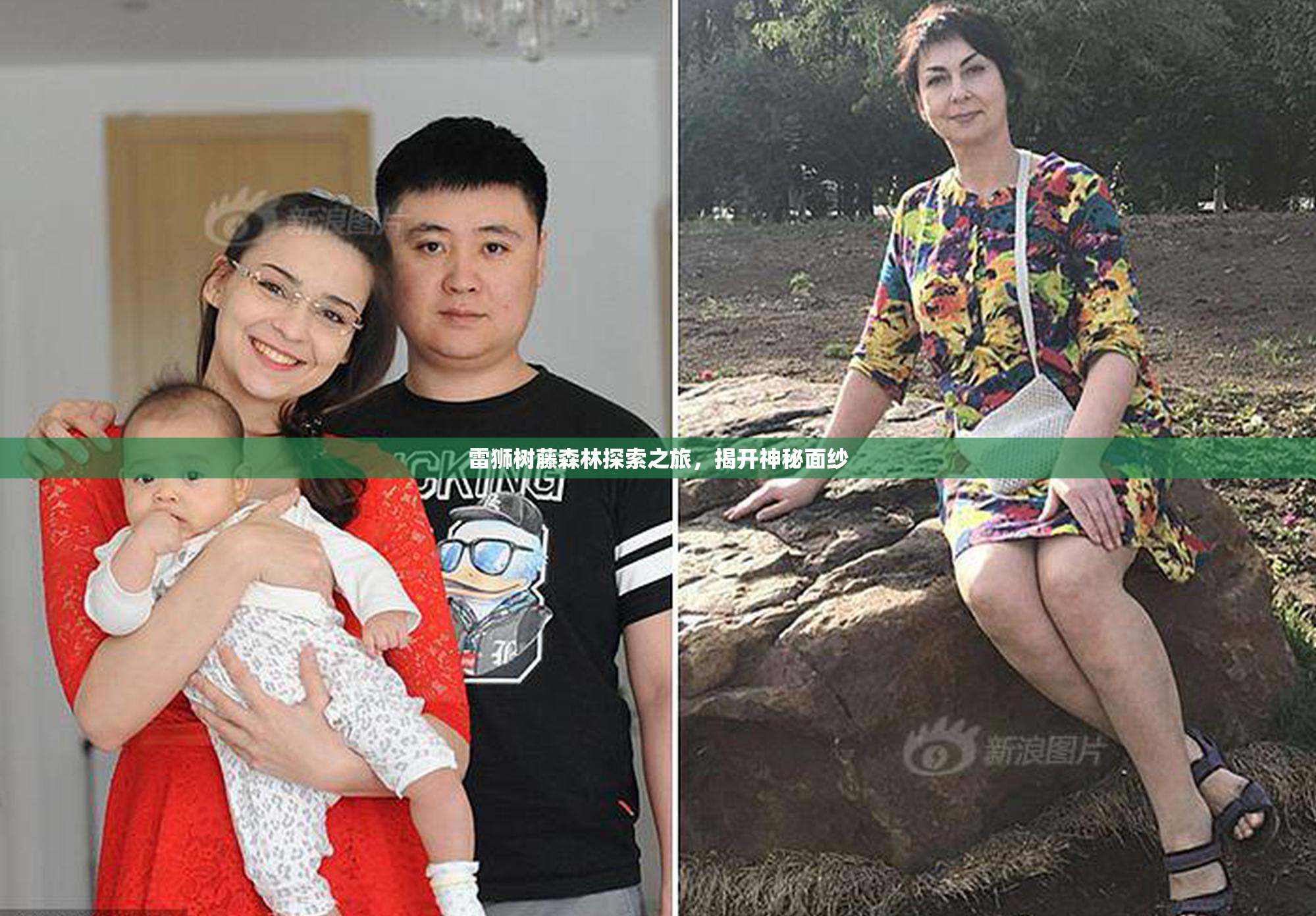 雷狮树藤森林探索之旅，揭开神秘面纱