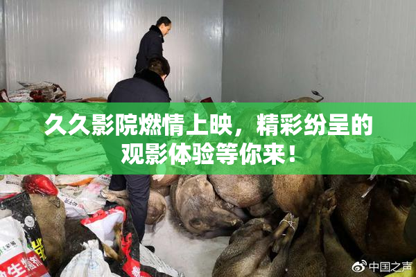 久久影院燃情上映，精彩纷呈的观影体验等你来！
