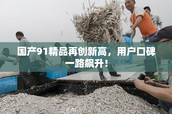 国产91精品再创新高，用户口碑一路飙升！