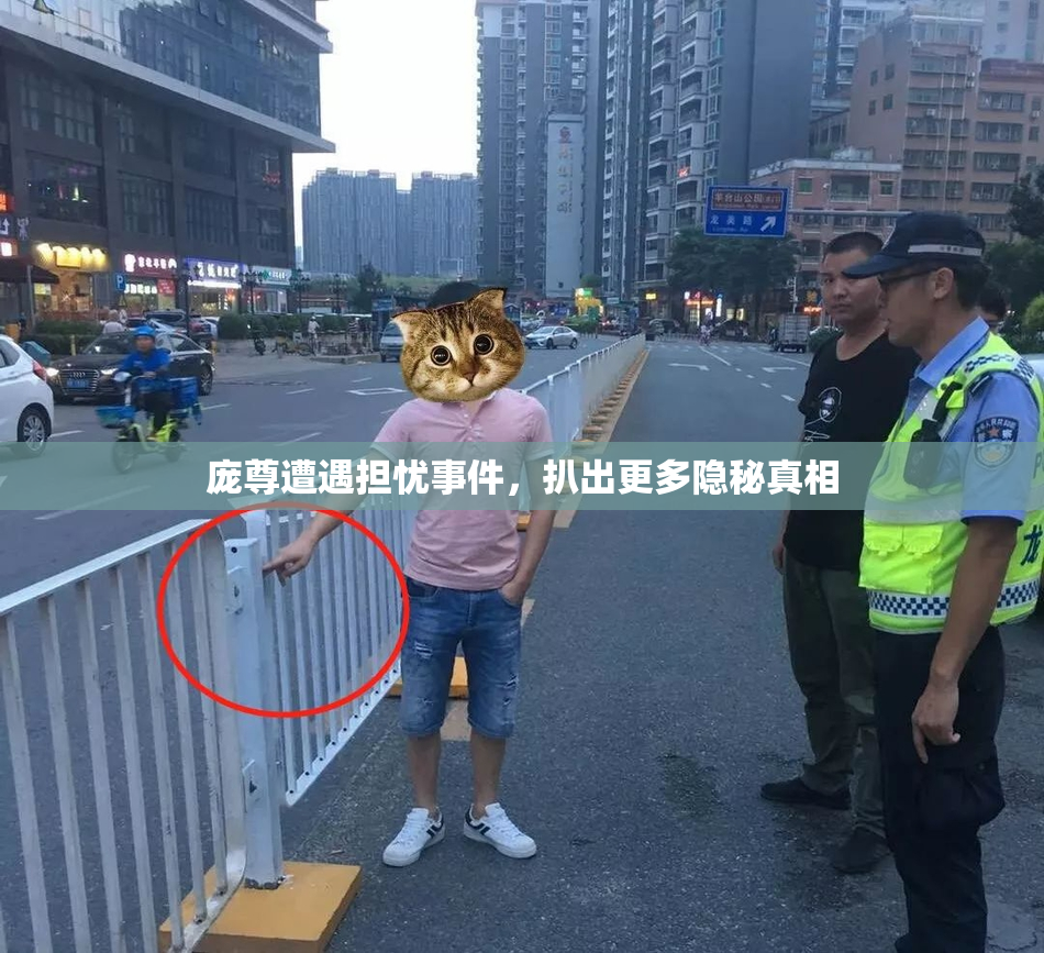庞尊遭遇担忧事件，扒出更多隐秘真相