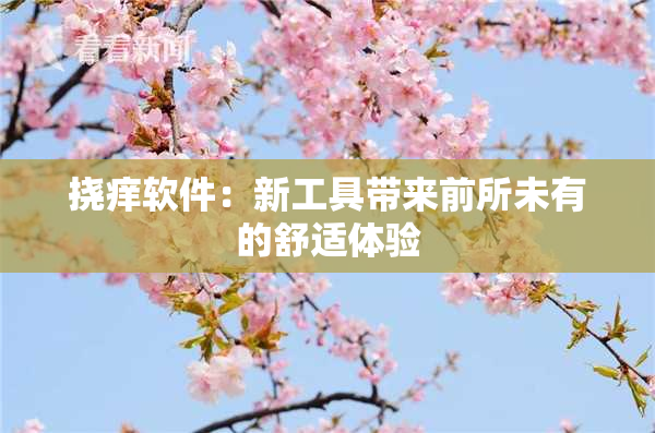 挠痒软件：新工具带来前所未有的舒适体验