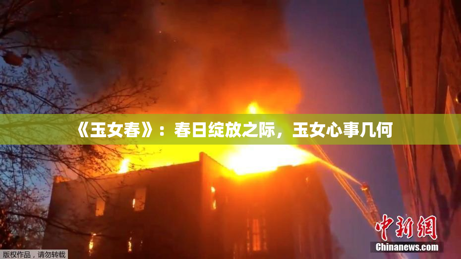 《玉女春》：春日绽放之际，玉女心事几何