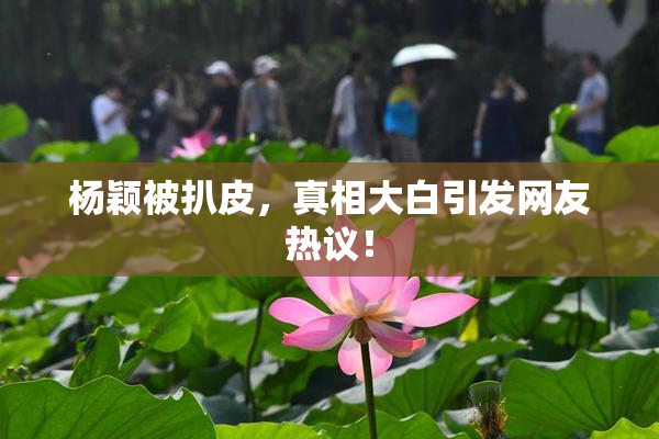 杨颖被扒皮，真相大白引发网友热议！