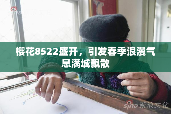 樱花8522盛开，引发春季浪漫气息满城飘散