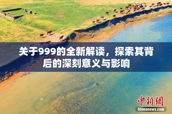关于999的全新解读，探索其背后的深刻意义与影响