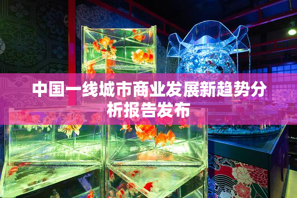 中国一线城市商业发展新趋势分析报告发布