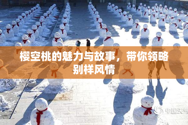 樱空桃的魅力与故事，带你领略别样风情