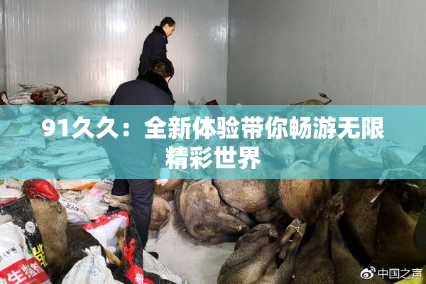 91久久：全新体验带你畅游无限精彩世界