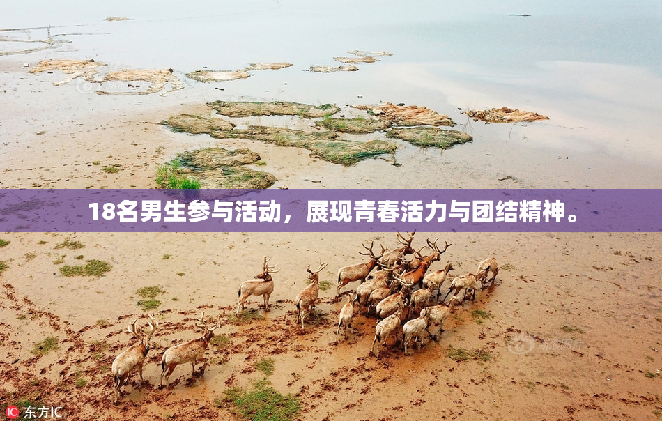 18名男生参与活动，展现青春活力与团结精神。