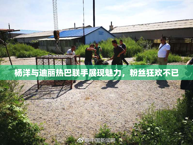 杨洋与迪丽热巴联手展现魅力，粉丝狂欢不已