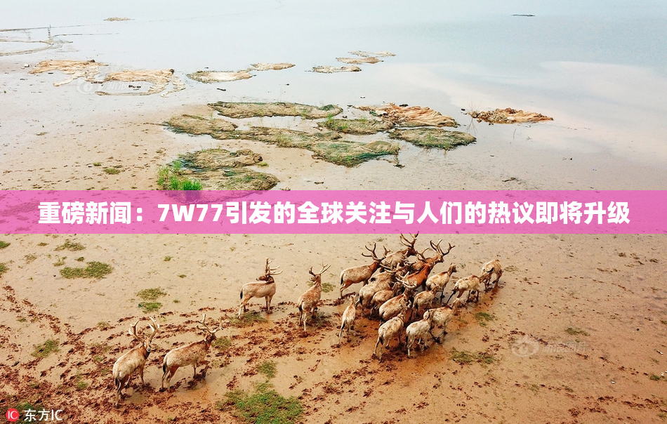重磅新闻：7W77引发的全球关注与人们的热议即将升级