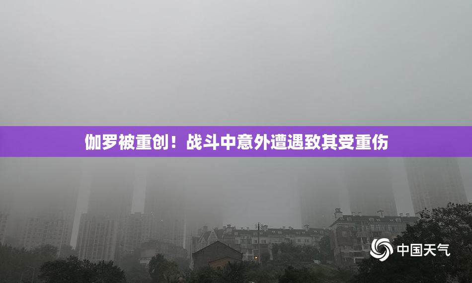 伽罗被重创！战斗中意外遭遇致其受重伤