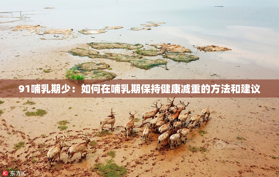 91哺乳期少：如何在哺乳期保持健康减重的方法和建议