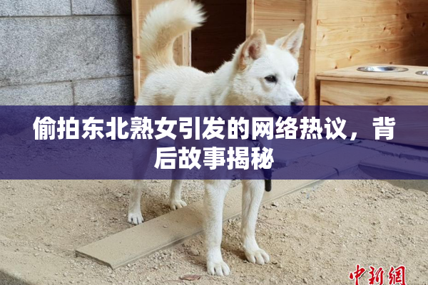 偷拍东北熟女引发的网络热议，背后故事揭秘