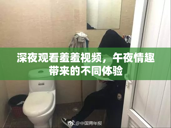深夜观看羞羞视频，午夜情趣带来的不同体验