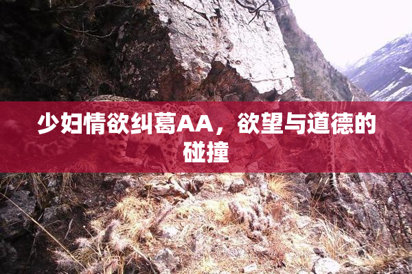 少妇情欲纠葛AA，欲望与道德的碰撞
