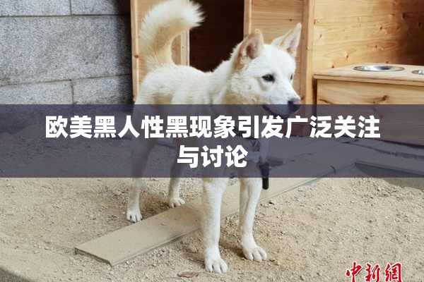 欧美黑人性黑现象引发广泛关注与讨论
