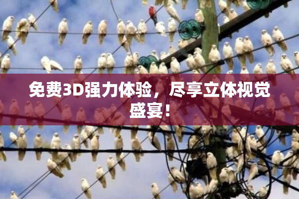 免费3D强力体验，尽享立体视觉盛宴！