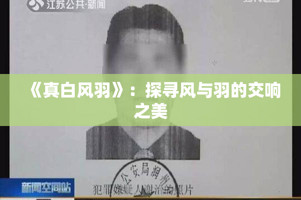 《真白风羽》：探寻风与羽的交响之美