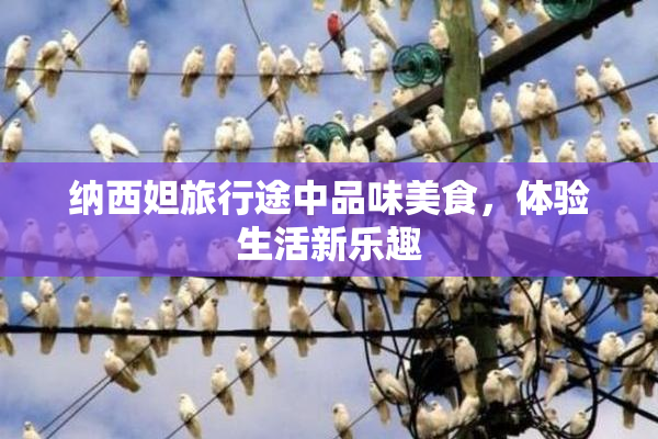 纳西妲旅行途中品味美食，体验生活新乐趣