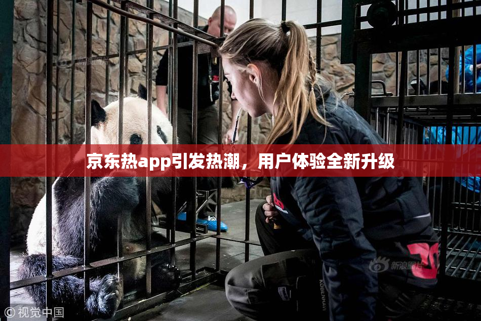 京东热app引发热潮，用户体验全新升级