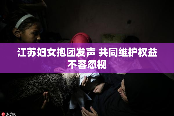 江苏妇女抱团发声 共同维护权益不容忽视