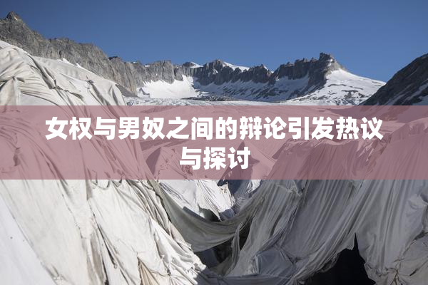 女权与男奴之间的辩论引发热议与探讨