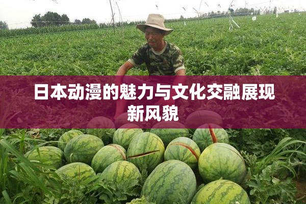 日本动漫的魅力与文化交融展现新风貌