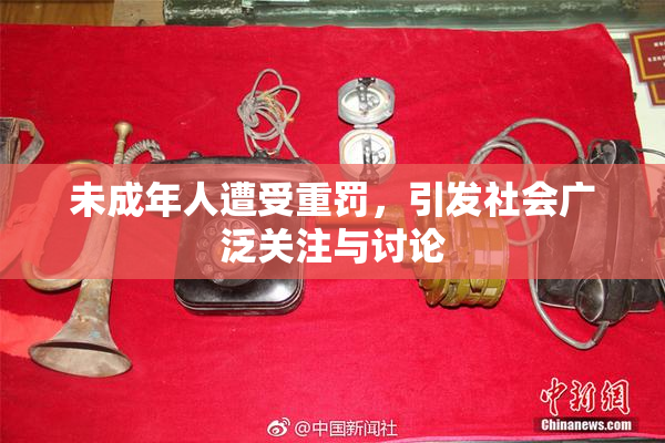 未成年人遭受重罚，引发社会广泛关注与讨论