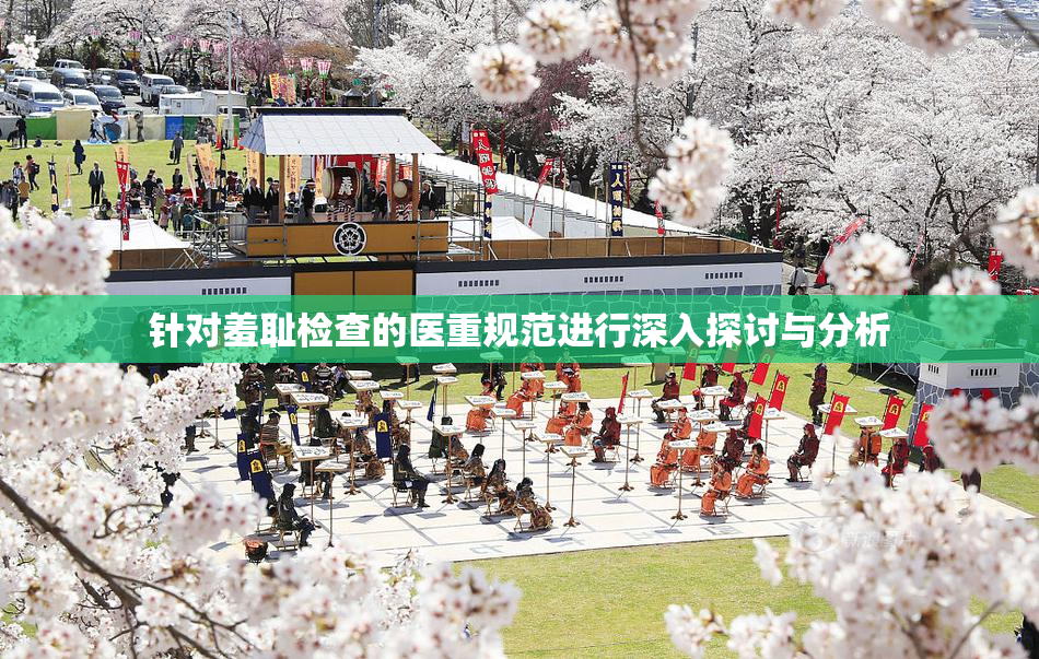 针对羞耻检查的医重规范进行深入探讨与分析
