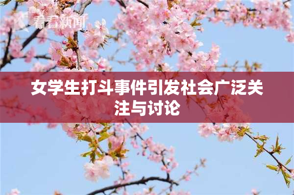 女学生打斗事件引发社会广泛关注与讨论