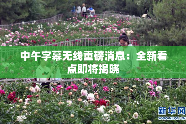 中午字幕无线重磅消息：全新看点即将揭晓