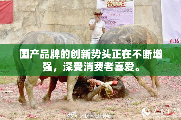国产品牌的创新势头正在不断增强，深受消费者喜爱。