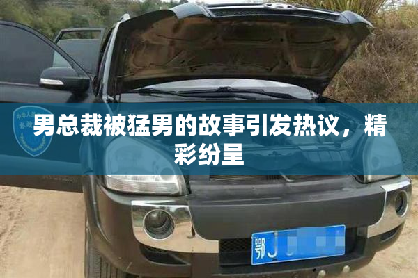 男总裁被猛男的故事引发热议，精彩纷呈
