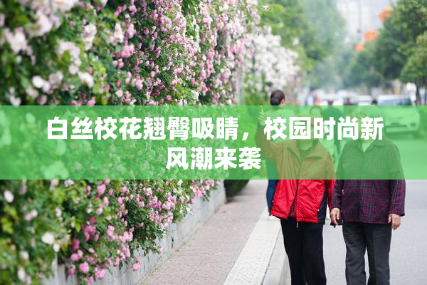 白丝校花翘臀吸睛，校园时尚新风潮来袭